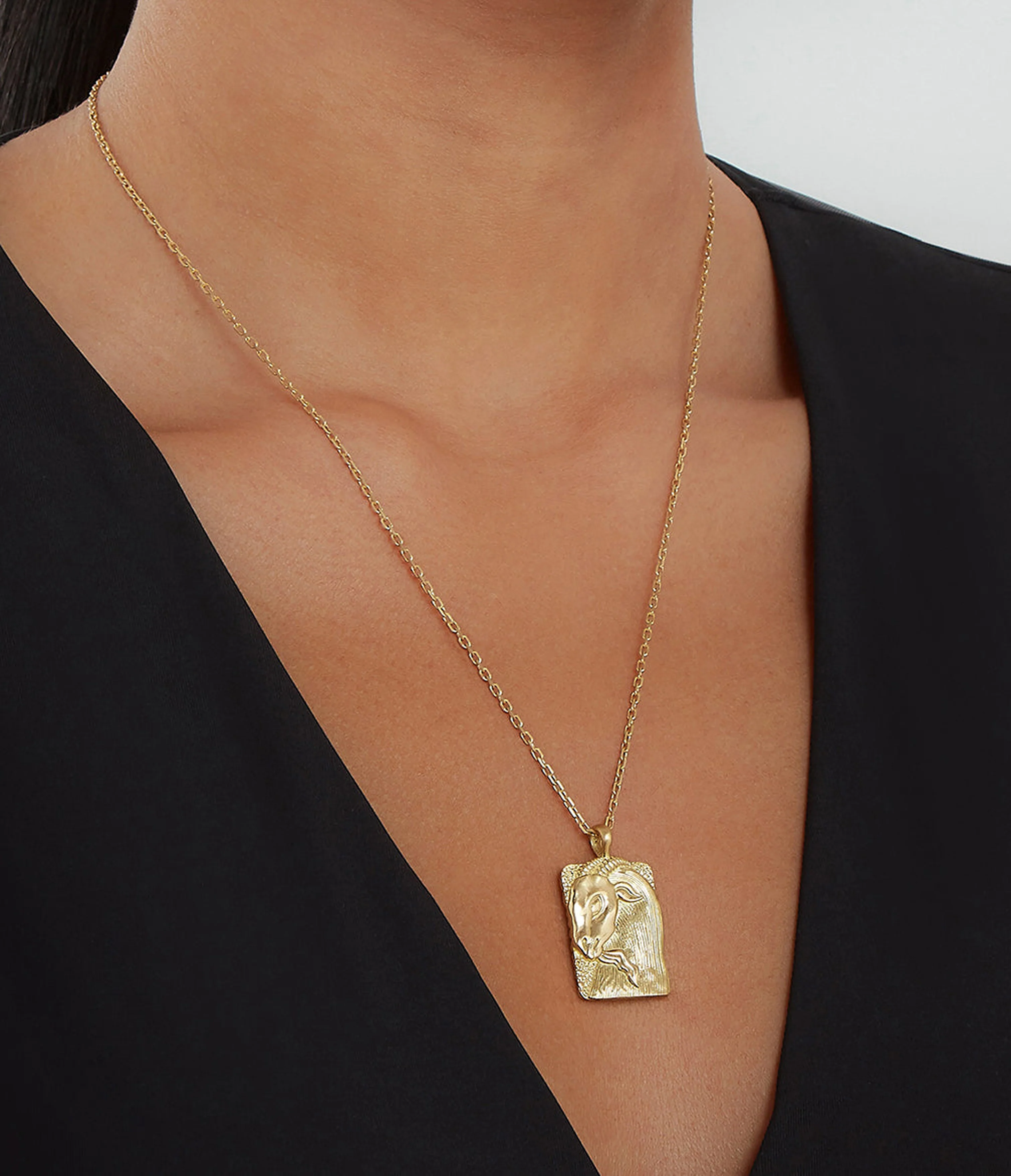 Capricorn Zodiac Pendant Necklace - Image 4