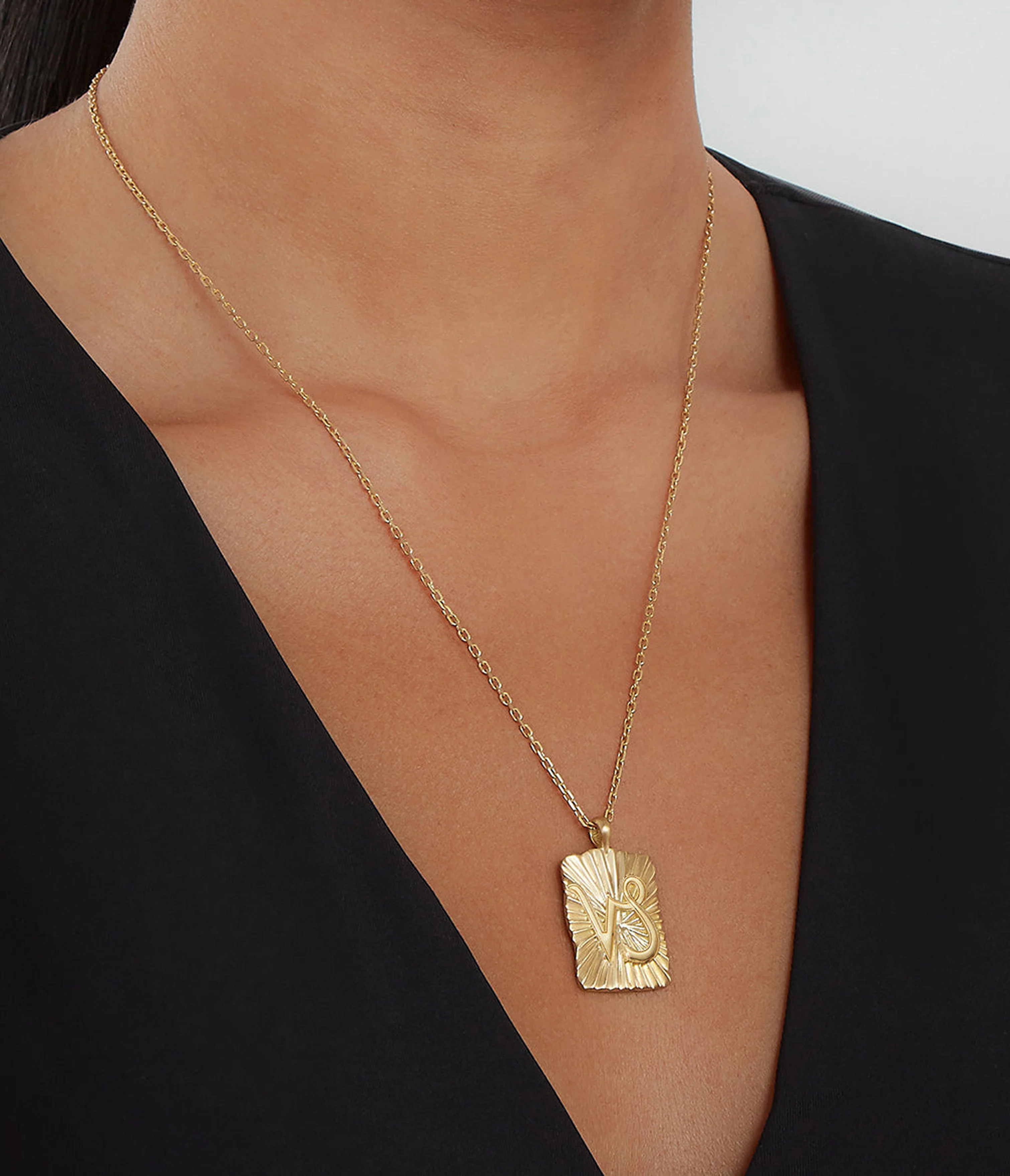 Capricorn Zodiac Pendant Necklace - Image 5